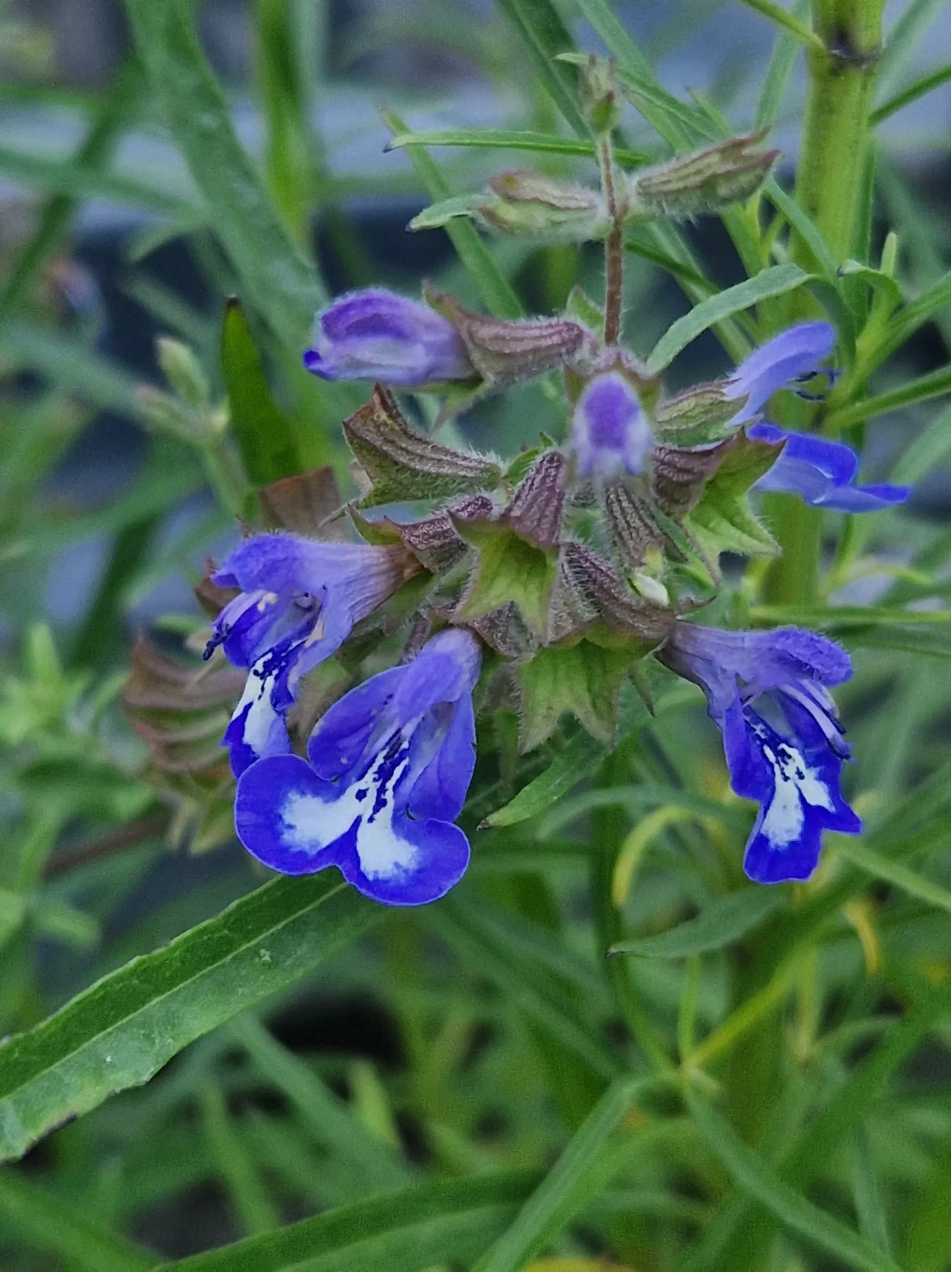 Finngrove 201322 min